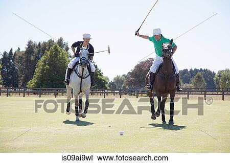 Two adult men playing polo View Large Photo Image Stock Image - Two adult men playing polo. Fotosearch