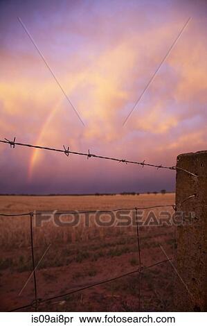 View of wire fence, rainbow and storm clouds at sunset, Ultima, Victoria, Australia View Large Photo Image Stock Photography - View of wire fence, rainbow and storm clouds at sunset, Ultima, Victoria, Australia. Fotosearch