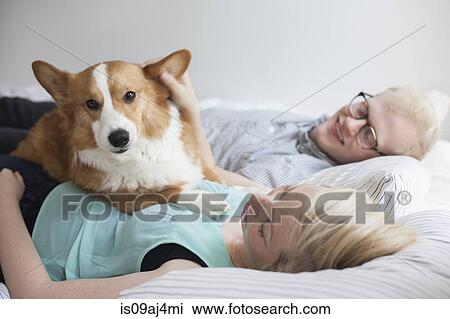 Stock Image - Cute corgi dog lying on bed with young couple. Fotosearch