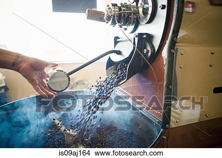 Female hand using industrial coffee roasting machine in cafe View Large Photo Image Picture - Female hand using industrial coffee roasting machine in cafe. Fotosearch