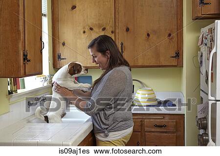 Mid adult woman bathing dog in kitchen sink View Large Photo Image Stock Photograph - Mid adult woman bathing dog in kitchen sink. Fotosearch