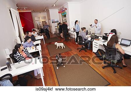 People at work in a modern office with dogs View Large Photo Image Stock Image - People at work in a modern office with dogs. Fotosearch