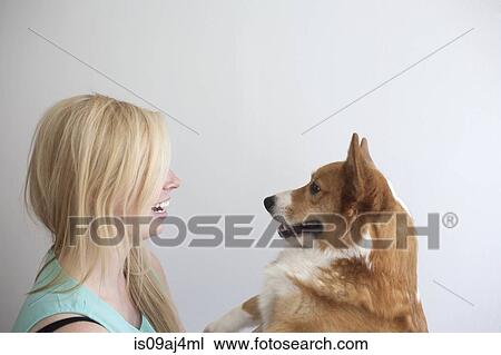 Portrait of cute corgi dog face to face with young woman View Large Photo Image Stock Image - Portrait of cute corgi dog face to face with young woman. Fotosearch