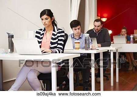 Row of people working on laptops in office View Large Photo Image Stock Image - Row of people working on laptops in office. Fotosearch