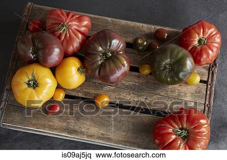 Selection of heirloom tomatoes on wooden board View Large Photo Image Stock Photography - Selection of heirloom tomatoes on wooden board. Fotosearch