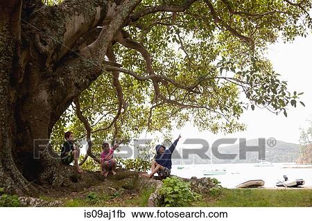 Three boys sitting under tree View Large Photo Image Stock Image - Three boys sitting under tree. Fotosearch