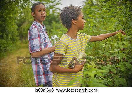 Stock Image - Boys picking berries. Fotosearch