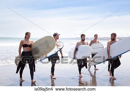 Picture - Group of male and female surfer friends walking away from sea with surf boards. Fotosearch