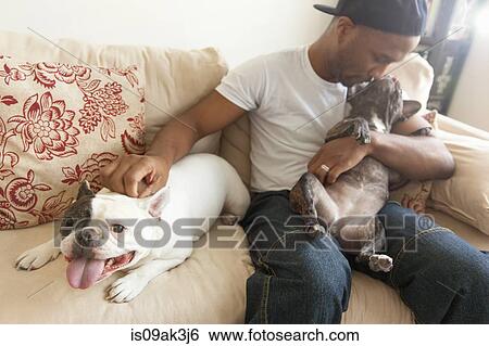Mid adult man sitting with two french bulldogs View Large Photo Image Stock Photograph - Mid adult man sitting with two french bulldogs. Fotosearch