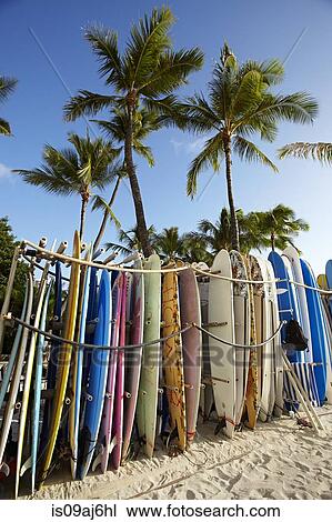 Stock Image - Row of surfboards on beach, Waikiki, Oahu, Hawaii, USA. Fotosearch