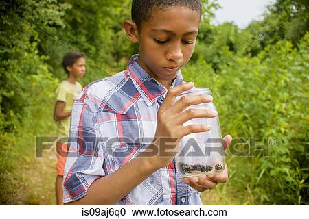 Stock Image - Teenage boys picking berries. Fotosearch