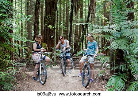 Stock Photograph - Three mid adult women mountain bikers using smartphones in forest. Fotosearch