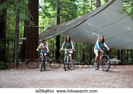 Three women mountain bikers cycling through forest View Large Photo Image Stock Photo - Three women mountain bikers cycling through forest. Fotosearch