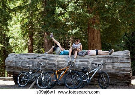 Three women mountain bikers taking a break on tree trunk in forest View Large Photo Image Stock Image - Three women mountain bikers taking a break on tree trunk in forest. Fotosearch