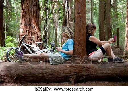 Two mid adult women looking down at smartphone and digital tablet in forest View Large Photo Image Stock Photograph - Two mid adult women looking down at smartphone and digital tablet in forest. Fotosearch