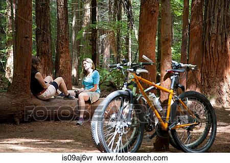 Two women mountain bikers chatting on tree trunk in forest View Large Photo Image Stock Photography - Two women mountain bikers chatting on tree trunk in forest. Fotosearch