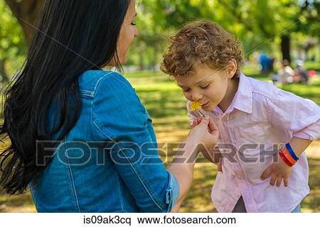 Stock Photography - Young mother and son smelling flower in park. Fotosearch