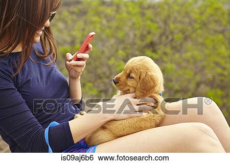Stock Photograph - Young woman taking photograph of labrador puppy sitting on lap. Fotosearch