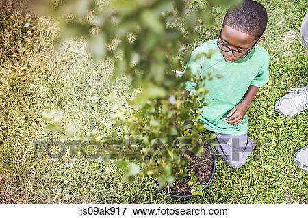 Stock Photo - Boy kneeling and tending plant in parkland eco camp. Fotosearch