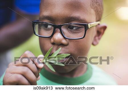 Boy smelling plant in parkland eco camp View Large Photo Image Stock Image - Boy smelling plant in parkland eco camp. Fotosearch