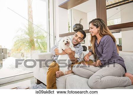 Couple petting cute dog on sitting room sofa View Large Photo Image Stock Photograph - Couple petting cute dog on sitting room sofa. Fotosearch