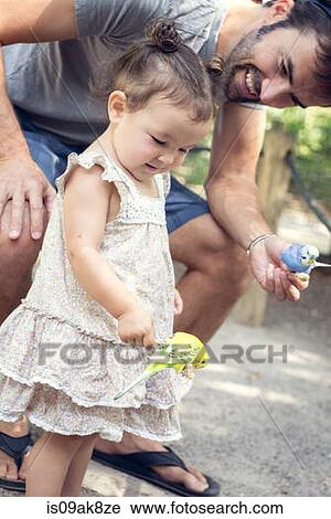 Stock Image - Father and baby daughter holding budgerigar parakeets at zoo. Fotosearch