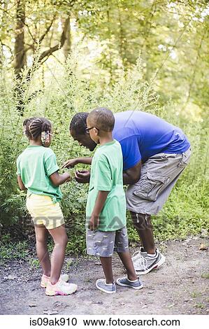 Father looking at plants with son and daughter at forest eco camp View Large Photo Image Stock Image - Father looking at plants with son and daughter at forest eco camp. Fotosearch