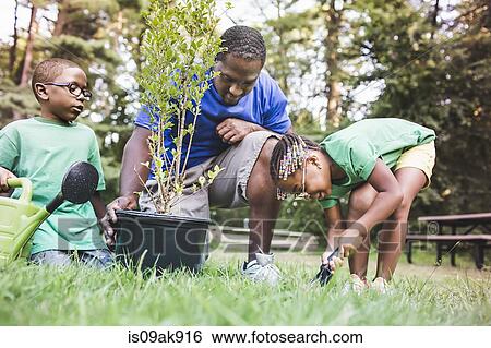 Father tending plants with son and daughter at eco camp View Large Photo Image Stock Photograph - Father tending plants with son and daughter at eco camp. Fotosearch
