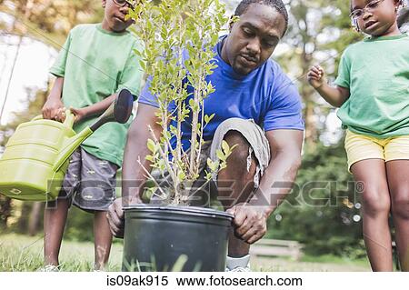 Father tending plants with son and daughter at parkland eco camp View Large Photo Image Stock Photography - Father tending plants with son and daughter at parkland eco camp. Fotosearch