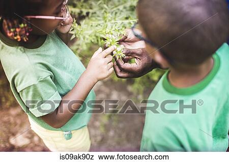 Stock Photo - Fathers hands holding plants for son and daughter at forest eco camp. Fotosearch