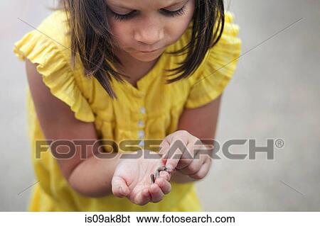 Girl holding and looking down at worm View Large Photo Image Stock Photograph - Girl holding and looking down at worm. Fotosearch
