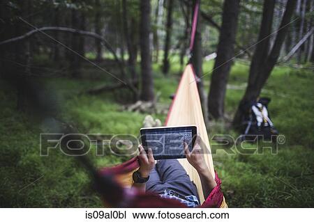 Stock Image - Hiker lying in hammock in forest looking at map on digital tablet. Fotosearch