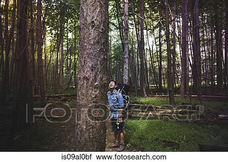 Hiker standing by tree, looking up View Large Photo Image Stock Image - Hiker standing by tree, looking up. Fotosearch