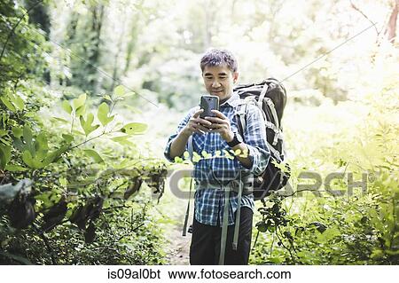 Hiker taking photo with camera phone in forest View Large Photo Image Stock Photograph - Hiker taking photo with camera phone in forest. Fotosearch