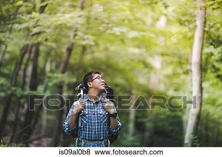 Hiker with backpack in forest View Large Photo Image Stock Photo - Hiker with backpack in forest. Fotosearch