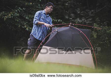 Mature man putting up tent View Large Photo Image Stock Photo - Mature man putting up tent. Fotosearch