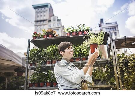 Woman shopping at plant market View Large Photo Image Stock Photo - Woman shopping at plant market. Fotosearch