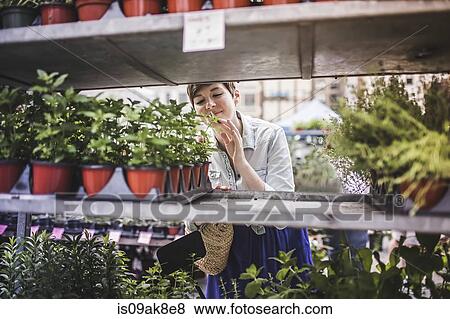 Stock Photo - Woman shopping at plant market. Fotosearch