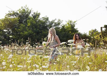 Women in field of wildflowers View Large Photo Image Stock Photograph - Women in field of wildflowers. Fotosearch