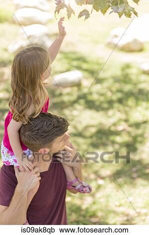 Young girl reaching for tree leaf from fathers shoulders in park View Large Photo Image Stock Image - Young girl reaching for tree leaf from fathers shoulders in park. Fotosearch
