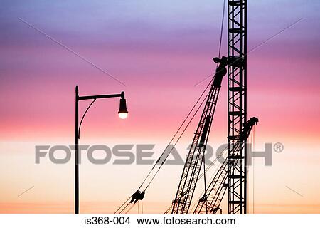 Cranes at sunset View Large Photo Image Picture - Cranes at sunset. Fotosearch