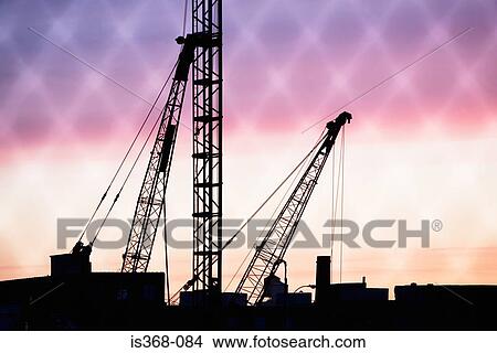 Picture - Cranes at sunset. Fotosearch