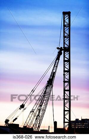 Cranes at sunset View Large Photo Image Stock Photograph - Cranes at sunset. Fotosearch
