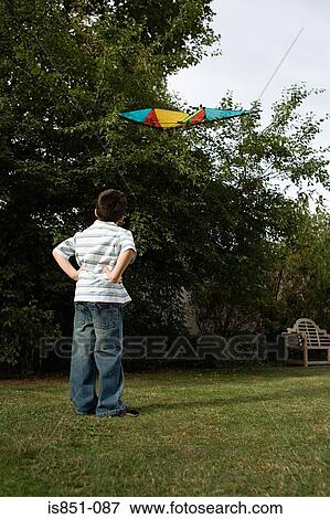 Boy looking at kite in tree View Large Photo Image Stock Photo - Boy looking at kite in tree. Fotosearch