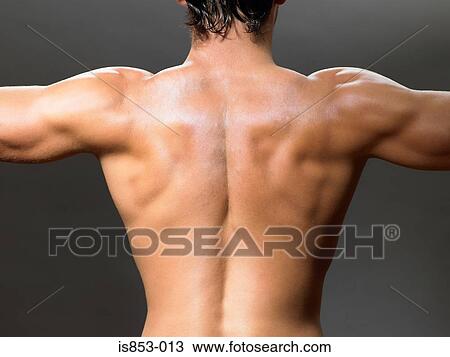 Stock Image - Rear view of a man. Fotosearch
