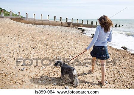 Woman walking a pet dog View Large Photo Image Picture - Woman walking a pet dog. Fotosearch