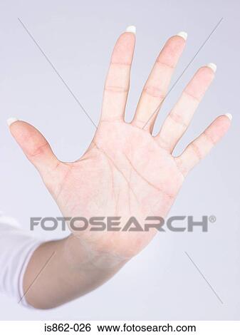 Female hand View Large Photo Image Stock Photograph - Female hand. Fotosearch