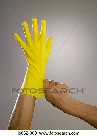 Man putting on rubber glove View Large Photo Image Stock Photo - Man putting on rubber glove. Fotosearch
