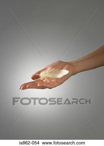 Woman holding a feather View Large Photo Image Picture - Woman holding a feather. Fotosearch