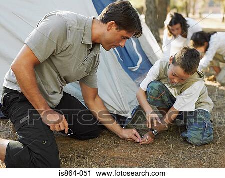Family pitching tent View Large Photo Image Stock Image - Family pitching tent. Fotosearch